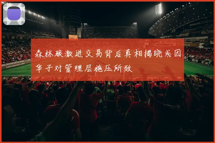 森林狼激进交易背后真相揭晓或因华子对管理层施压所致